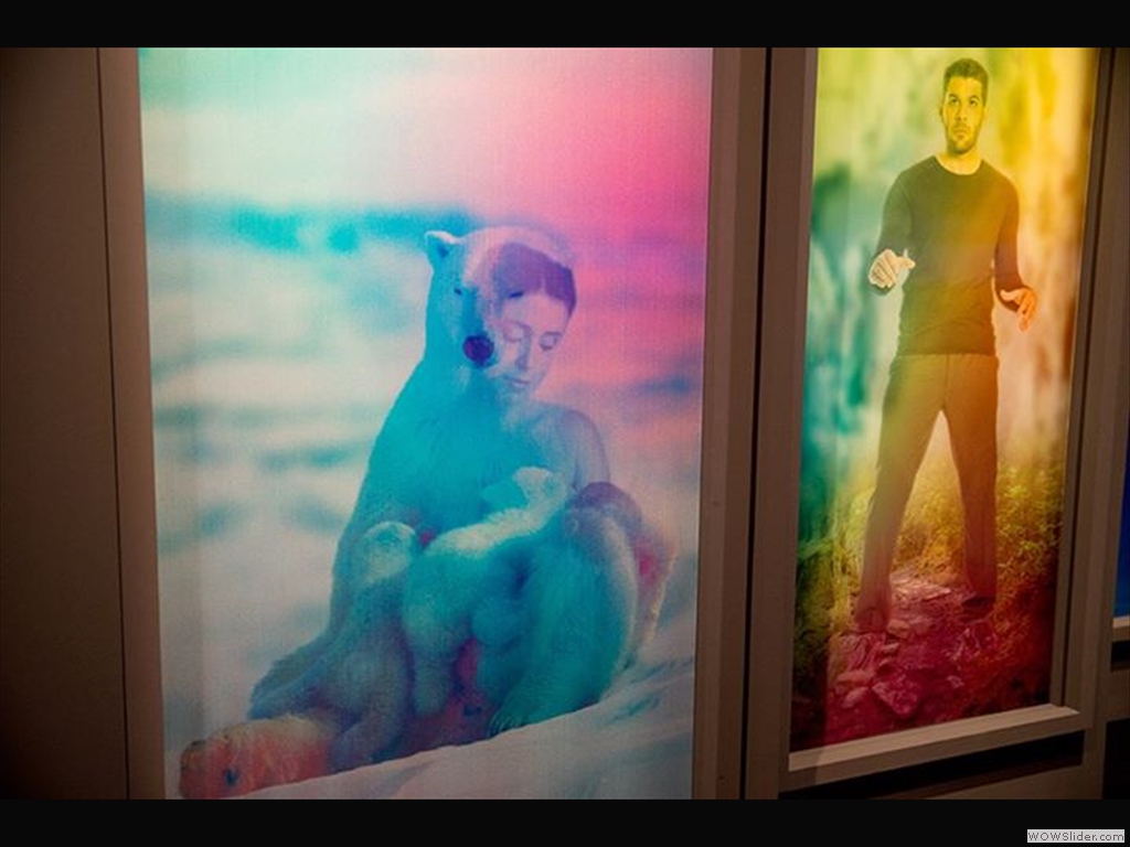 Muséum Toulouse - Expo Ours